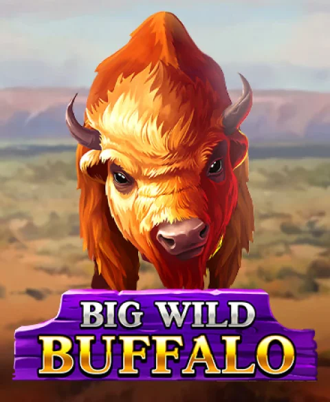 Play Big Wild Buffalo at Euro Bets Casino